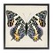 Stupell Industries Speckled Butterfly Sketch Floater Framed Canvas Wall Art Design by Susan Arnot